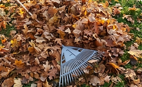 The city grass/leaf pile is for yardwaste only
